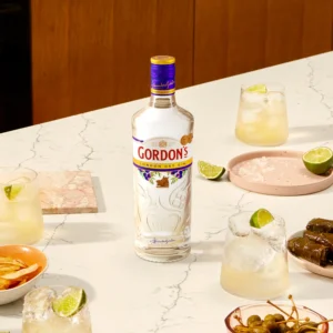 Gordon’s Dry Cin